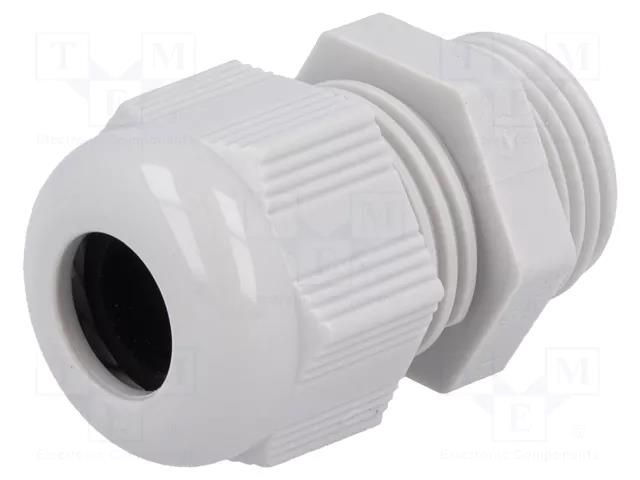 Cable gland; PG11; IP68; polyamide 6; light grey; HELUTOP® HT HELUKABEL HELU-99302