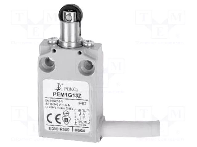 Limit switch; oblong plastic roller Ø12mm; NO + NC; 5A; cables POKÓJ PEM1G13Z