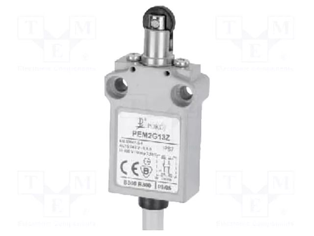 Limit switch; oblong plastic roller Ø12mm; NO + NC; 5A; cables POKÓJ PEM2G13Z