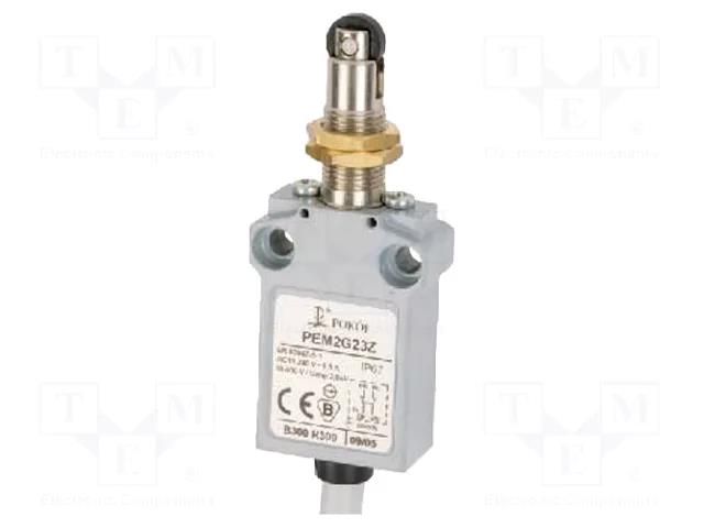 Limit switch; NO + NC; 5A; max.250VAC; max.250VDC; lead 1m; IP67 POKÓJ PEM2G23Z