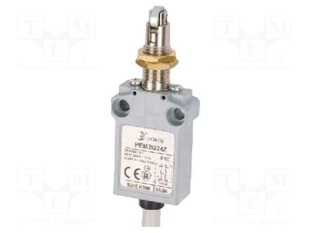 Limit switch; NO + NC; 5A; max.250VAC; max.250VDC; cables; 1m; IP67 POKÓJ PEM2G24Z