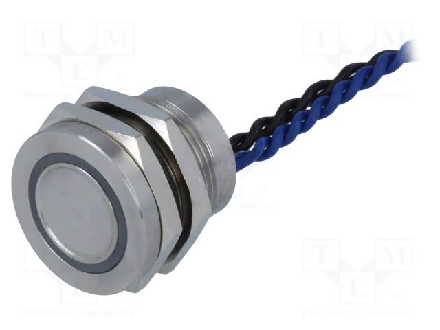 Switch: piezoelectric; Pos: 2; SPST-NO; 0.2A/24VAC; 0.2A/24VDC ONPOW PS193P10YSS1B12T