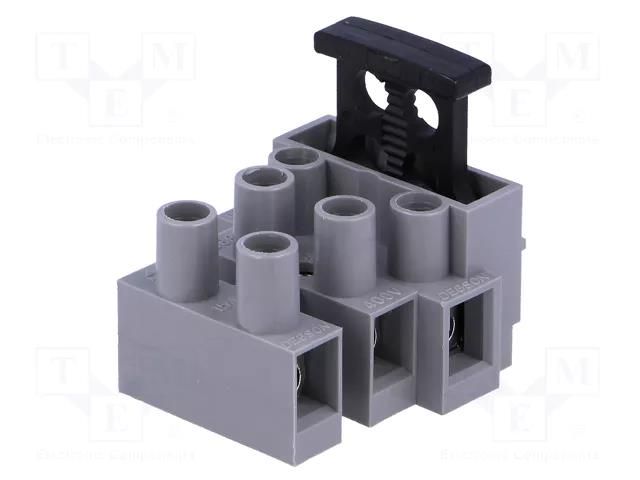 Connector: terminal block; 6.3A; 250V; screw terminal; tinned DEGSON ELECTRONICS DG801-3P11