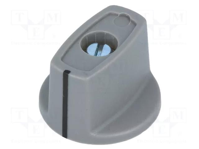 Knob; with pointer; ABS; Øshaft: 6mm; Ø23x16mm; grey; Shaft: smooth OKW A2423068