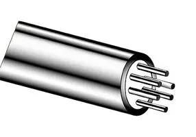 RTD MI CABLE, 2 CONDUCTOR, 0.125 INCH 316-RTD-2-MO-125
