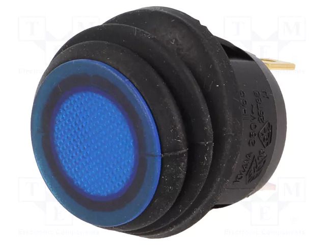 ROCKER; SPST; Pos: 2; ON-OFF; 10A/250VAC; blue; IP65; neon lamp; 50mΩ SCI R13112B8W02BBLN2