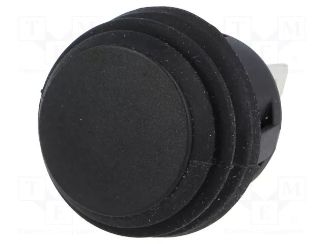 Switch: push-button; Pos: 2; DPST-NO; 6A/250VAC; OFF-(ON); IP65 SCI R13527A202BB