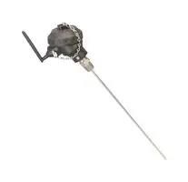 PROBE ASSEMBLY, RTD, 304SS, 6.35 X 610MM UWRTD-NB9-1PT304-14-24