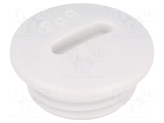 Stopper; PG9; IP54; polystyrene; light grey; SKINDICHT®; 6mm LAPP BLK-PG9