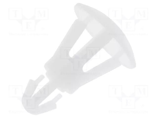 Assembly stud; polyamide; L: 6.35mm; snap fastener; natural FIX&FASTEN FIX-RCG-6.35