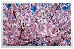 LCD TFT DISPLAY, 12.1", 1280X800P, RGB MP010839