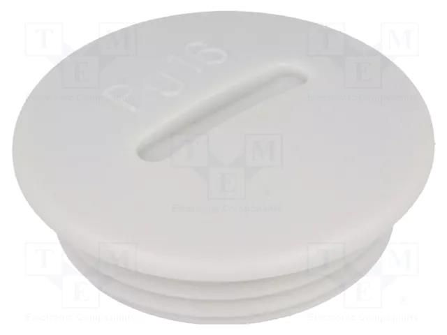 Stopper; PG36; IP54; polystyrene; light grey; SKINDICHT®; 10mm LAPP BLK-PG36