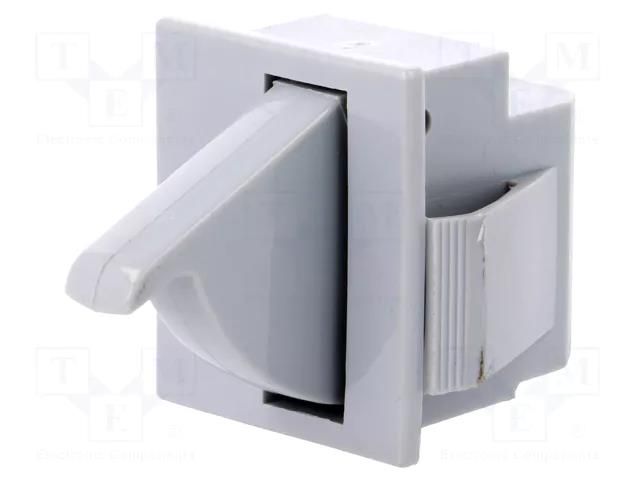Switch: door; Pos: 2; SPDT; 5A/250VAC; Leads: connectors; Body: grey BULGIN AE-E3111CAGYGY