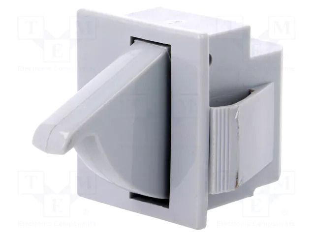Switch: door; Pos: 2; SPDT; 5A/250VAC; Leads: connectors; 3100 BULGIN AE-E3111CAGYGY