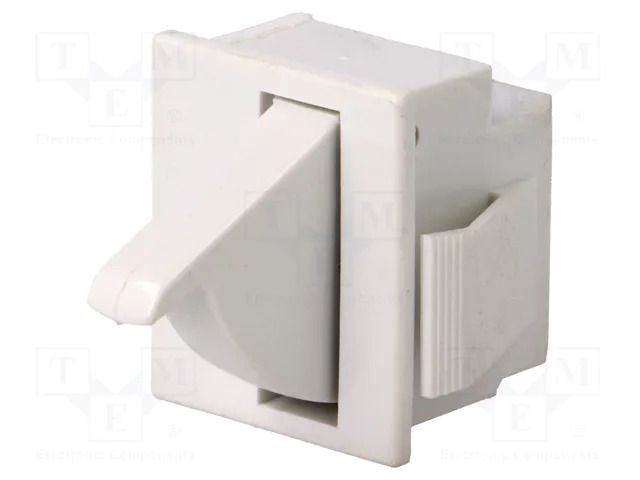 Switch: door; Pos: 2; SPDT; 5A/250VAC; Leads: connectors; 3100 BULGIN AE-E3111CAWW