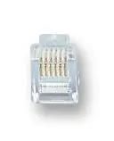 PLUG, RJ12 6P6C 50U, 10 PACK PSG08371