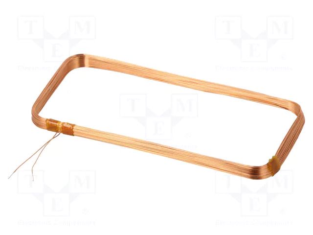 Antenna; RFID; 125kHz; Body dim: 32x71x3mm; Usable dim: 28x67x3mm SR PASSIVES CP-690UH-30-67-3