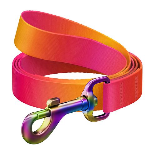 WAUDOG gradient nylon dog leash, 122 cm long, orange, Waudog 46604