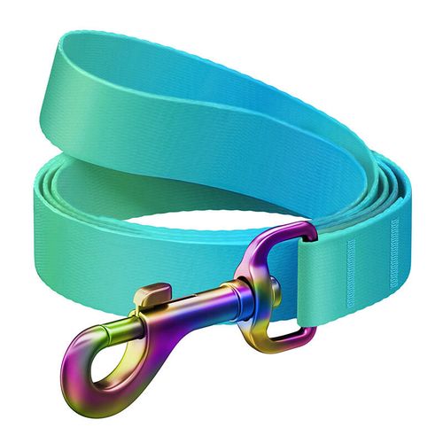 WAUDOG gradient nylon dog leash, 15mm wide, 122cm long, blue, Waudog 46622