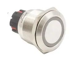 VANDAL RESISTANT SWITCH, DPDT, 5A/250VAC MP22DMRINRG006S5