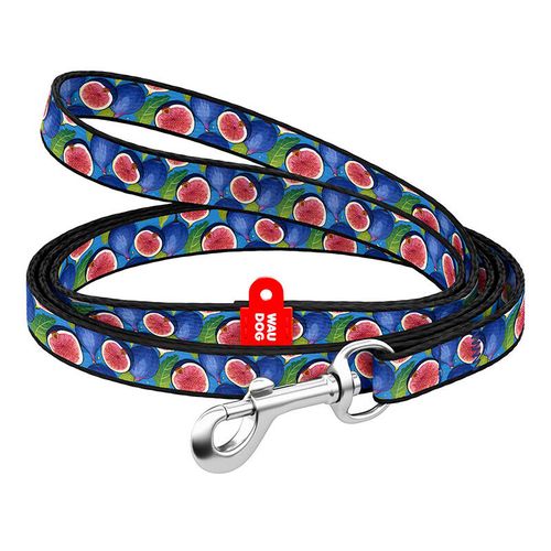 WAUDOG nylon dog leash 20 mm wide, 122 cm long "fig", Waudog 4201000090-3