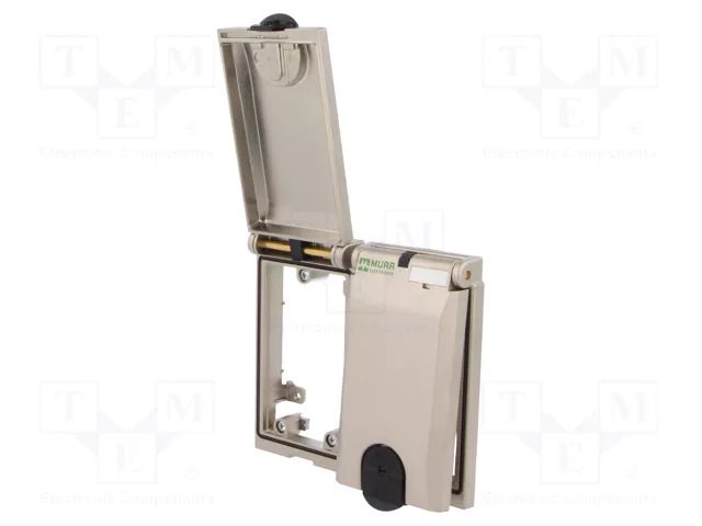 Frame; IP65; on panel; MODLINK MSDD MURRELEKTRONIK 4000-68123-0000000