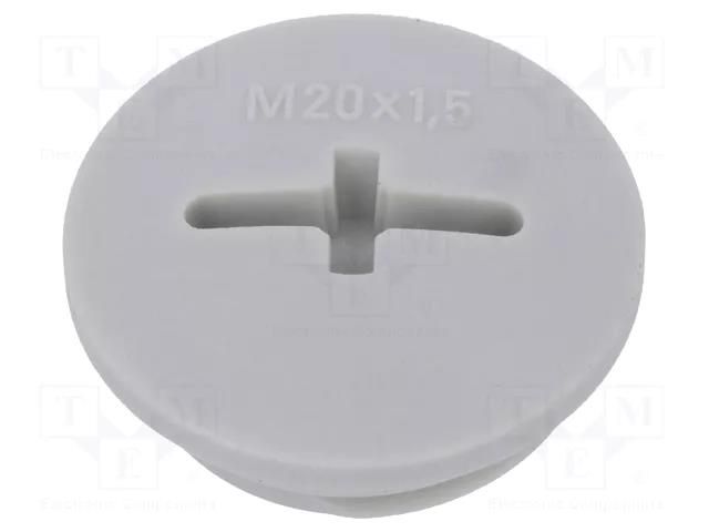 Stopper; M20; 1.5; IP54; polyamide; light grey; SKINDICHT®; 6mm LAPP BLK-GL-M20-R7035