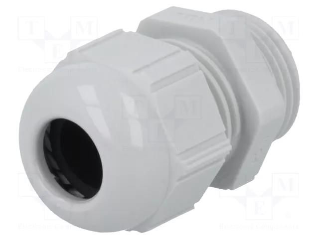 Cable gland; PG11; IP68; polyamide; light grey; SKINTOP® LAPP ST-PG-11-RAL-7035