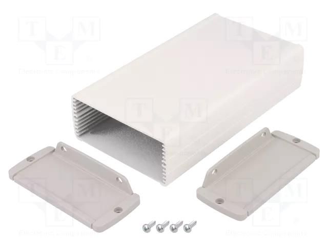 Enclosure: multipurpose; with fixing lugs,with panel; TEKAL TEKO TEKAL23-E.30