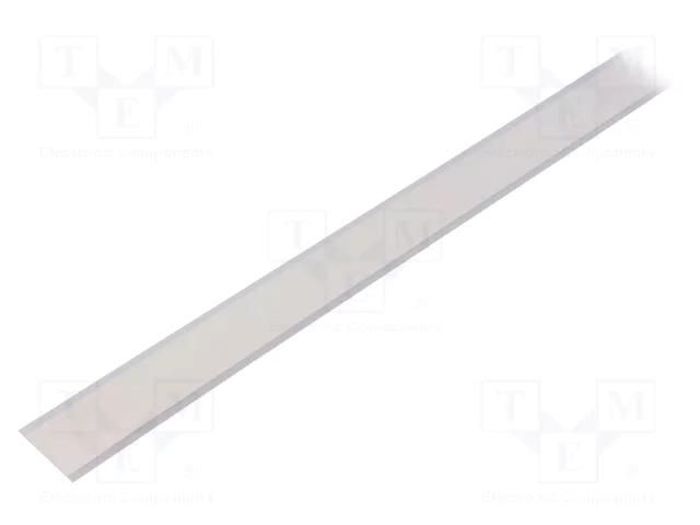 EL tape; L: 5000mm; natural blue; 280cd/m2; λd: 491nm; 9537K Light Tape® LT-100-INT-NB