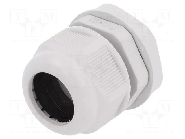 Cable gland; PG21; IP65; polyamide; grey RAYCHEM RPG RNPG-21