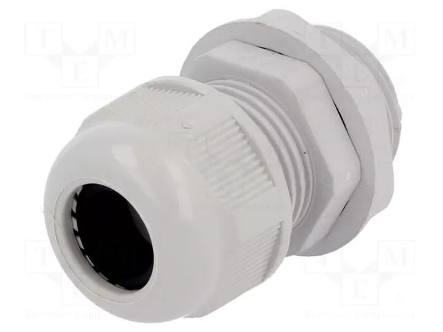 Cable gland; PG16; IP65; polyamide; grey RAYCHEM RPG RNPG-16