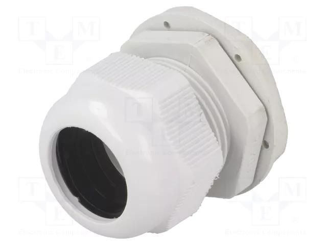 Cable gland; M40; 1.5; IP65; polyamide; grey RAYCHEM RPG RNMG40X1.5