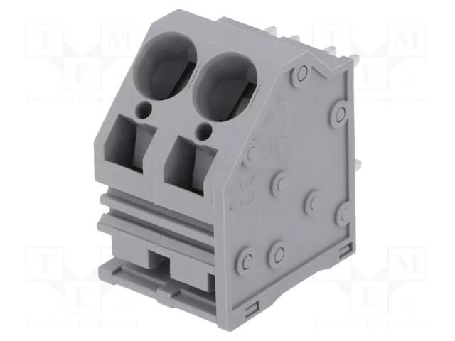 Connector: PCB terminal block; terminal; 66A; 300V; angled; tinned DEGSON ELECTRONICS DG264-10.0-02P