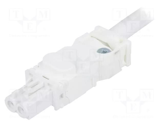 Power cable; cascade connection; 025; female; white; 2m; 2x1.5mm2 STEGO 244356
