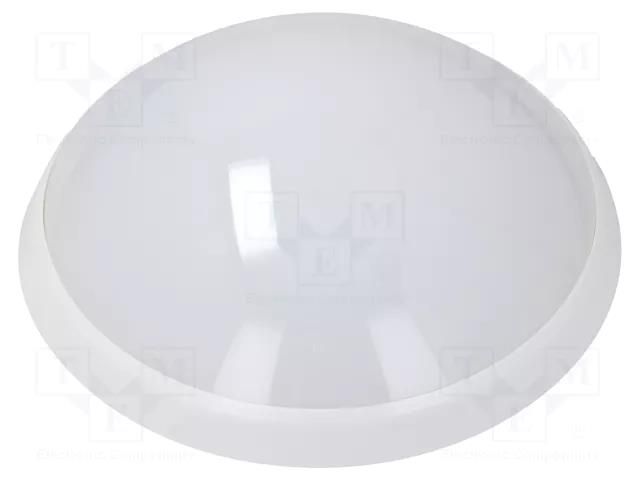 Lamp: LED lighting fixture; PANTERA LED; polycarbonate; 4000K PAWBOL PW-D.3198M-BN-20W