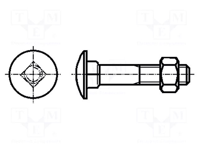 Screw; M6x65; 1; Head: button; square; steel; zinc; DIN 603; 18mm BOSSARD B6X65/BN248