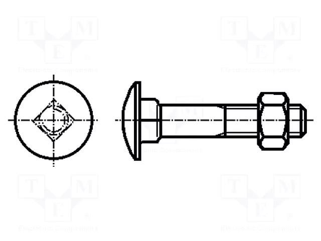 Screw; M5x60; 0.8; Head: button; square; steel; zinc; DIN 603; 16mm BOSSARD B5X60/BN248