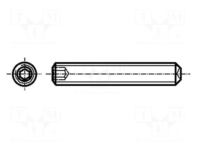 Screw; M4x6; 0.7; Head: without head; hex key; HEX 2mm; steel; zinc BOSSARD B4X6/BN30