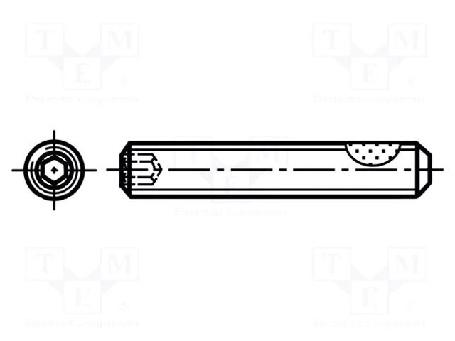 Screw; withTuflok patch; M3x6; 0.5; Head: without head; hex key BOSSARD B3X6/BN5210