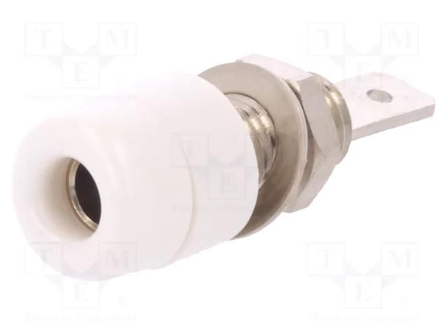 Connector: 4mm banana; socket; 32A; 33VAC; 70VDC; white; on panel SCHÜTZINGER IBU5568NI-WS