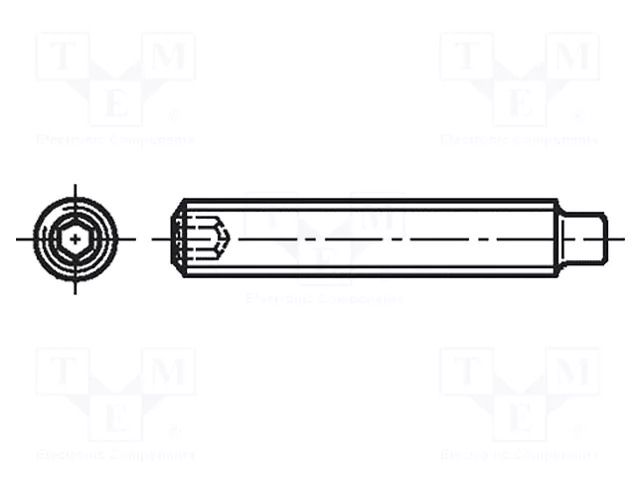 Screw; M5x20; 0.8; Head: without head; hex key; HEX 2.5mm; steel BOSSARD B5X20/BN26