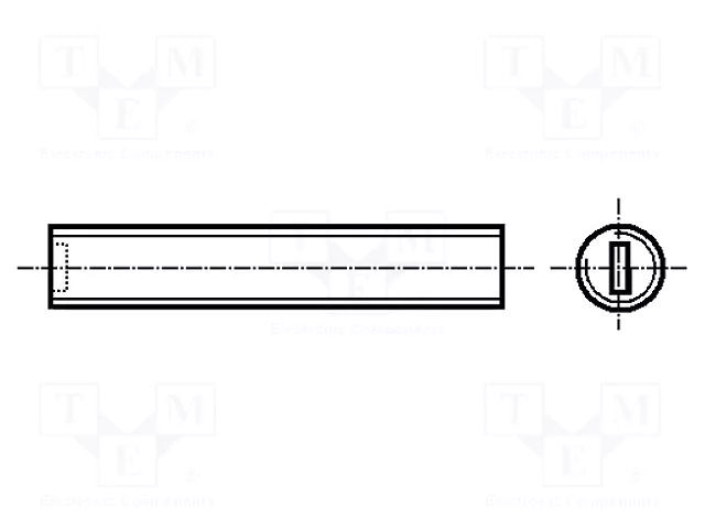 Screw; M5x8; 0.8; Head: without head; slotted; 0.8mm; polyamide BOSSARD B5X8/BN1073
