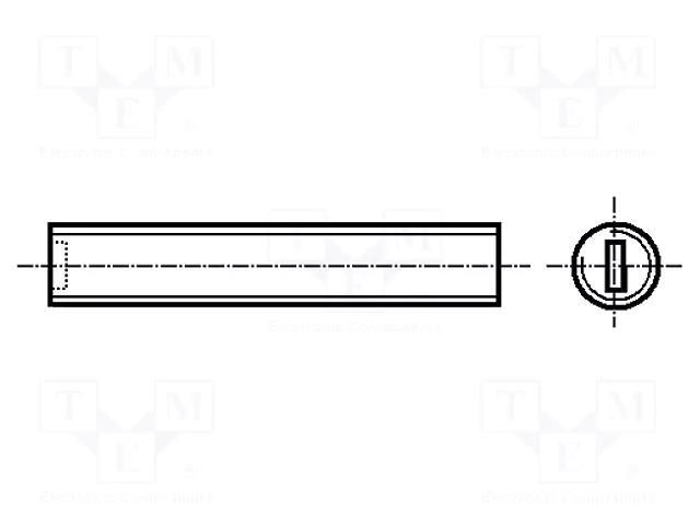 Screw; M3x10; 0.5; Head: without head; slotted; 0.5mm; polyamide BOSSARD B3X10/BN1073