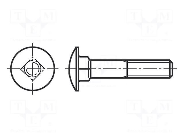 Screw; M8x60; 1.25; Head: button; A2 stainless steel; DIN 603; 22mm BOSSARD B8X60/BN645