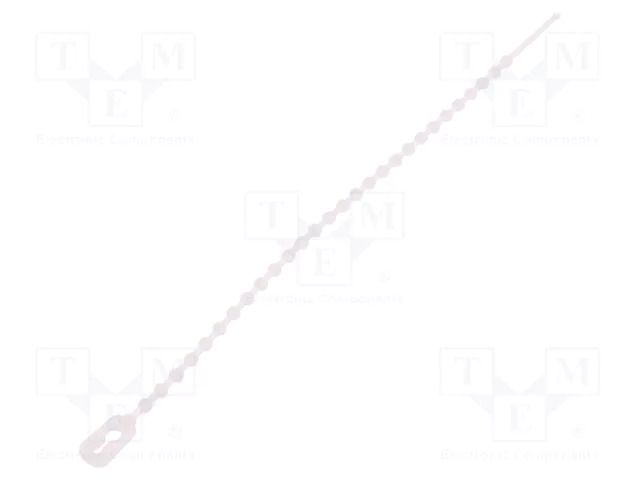 Cable tie; coral,multi use; L: 120mm; natural; polyamide; 100pcs. KSS WIRING TV-120