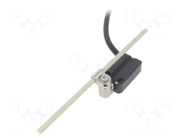 Limit switch; glass fiber rod Ø6x200mm R 19-189mm; NO + NC; 10A PIZZATO ELETTRICA NAB112LH-DN2