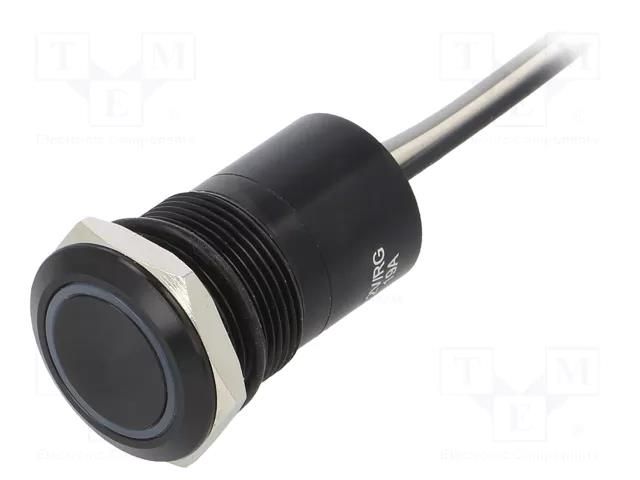 Switch: capacitive; Pos: 2; SPST-NO; 0.01A/12VDC; IP68; OFF-(ON) BULGIN BG-MC19MOBRG