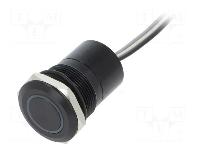 Switch: capacitive; Pos: 2; SPST-NC; 0.01A/12VDC; IP68; ON-(OFF) BULGIN BG-MC22MCBGR