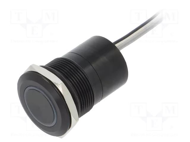Switch: capacitive; Pos: 2; SPST-NC; 0.01A/12VDC; IP68; ON-(OFF) BULGIN BG-MC22MCBRG
